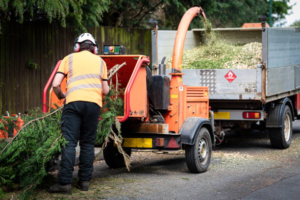 Best Soil Testing and Treatment  in Poquonock Bridge, CT